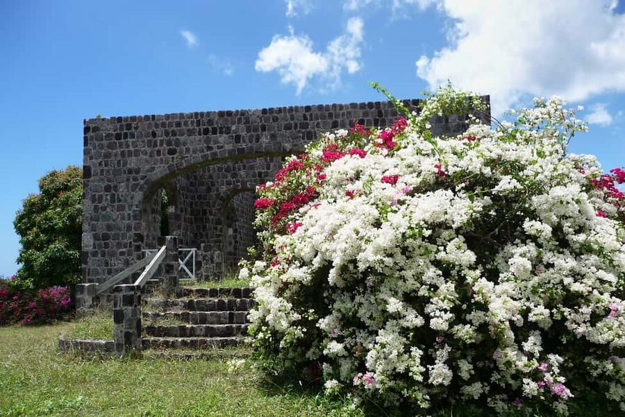 St. Kitts: Top Sights Guided Van or Open-Air Safari Tour - Key points at a glance