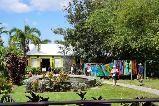 St Kitts Traditional Lunch & Half Day Island Tour - Wingfield Estate and the 15-minute rainforest visit