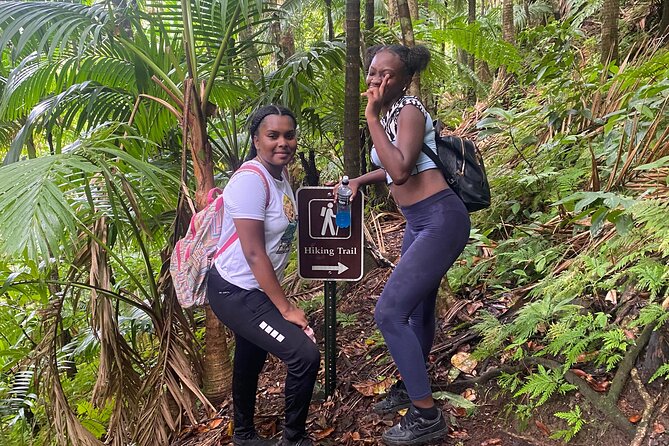 St.Kitts Volcano Hike To Mt. Liamuiga (Highest Peak On Island) - What the guides do well