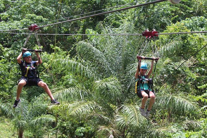 St. Kitts Zipline Experience - Five things to know before you book