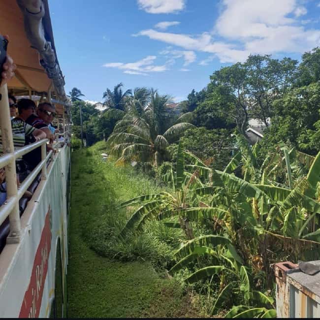 Sugar Train Tour & Drinks|Pick-Up &Drop Off From Cruise Port - From the Cruise Port to the Sugar Train