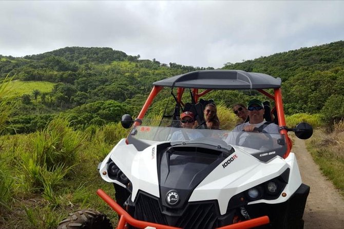 Sunny Blue Rentals in St Kitts for ATV and Dune Buggy Combo Tours - What your guide adds to the ride