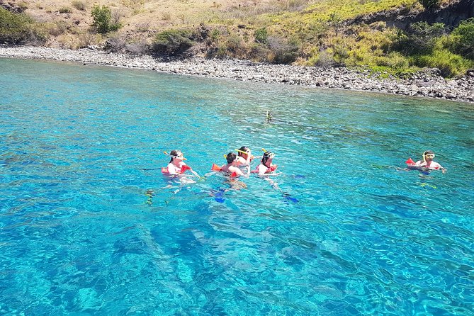SUP Paddle Board Adventure - Snorkeling above fish, turtles, and stingrays