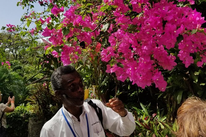 The Grand Tour of St. Kitts - Romney Manor adds gardens, craft, and island character