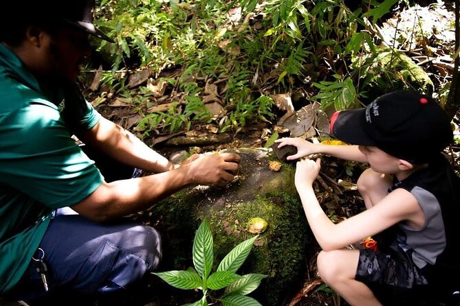 Tropical Rain Forest Explorer Hike In St. Kitts - The first land owned by formerly enslaved people
