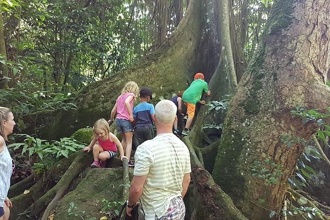 Tropical Rain Forest Explorer Hike In St. Kitts - Is $70 a fair price for this hike?