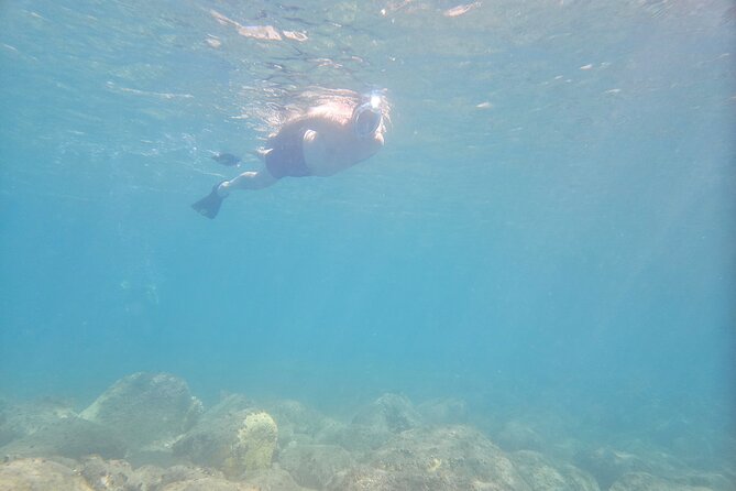 VIP Private Guided Scuba Diving/Snorkeling Excursion - Scuba Options for Certified and Beginner Guests