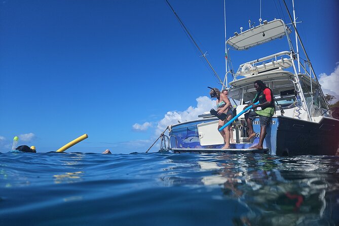 VIP Private Guided Scuba Diving/Snorkeling Excursion - What the $600 Price Really Buys