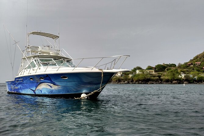 VIP Private Guided Scuba Diving/Snorkeling Excursion - Pickup, Weather, and Timing Details