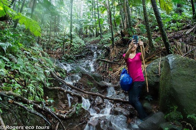 Volcano Caldera (Mt. Liamuiga) Trek / Hike - Key points before you book