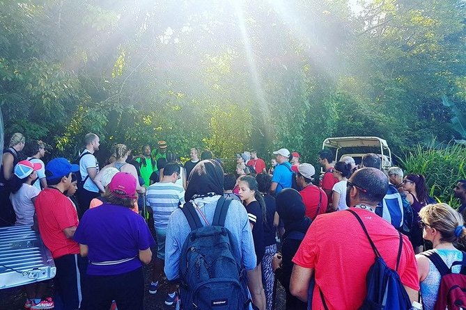 Volcano Caldera (Mt. Liamuiga) Trek / Hike - What this St. Kitts volcano tour is really like