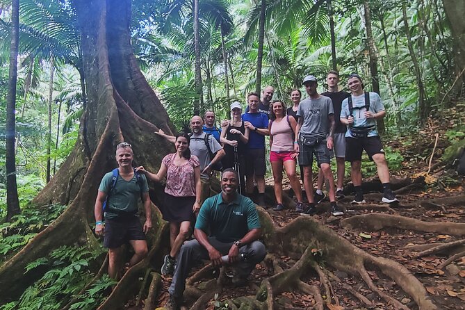 Volcano Caldera (Mt. Liamuiga) Trek / Hike - The climb toward Mt. Liamuiga’s volcanic caldera
