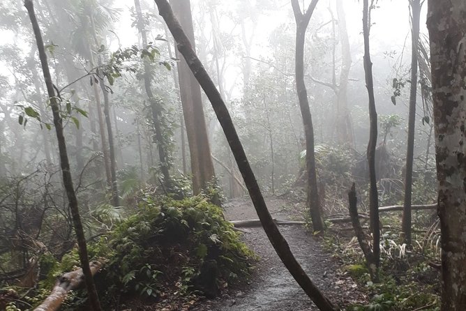 Volcano Crater Hiking Tour in St Kitts - The climb is harder than the brochure language suggests