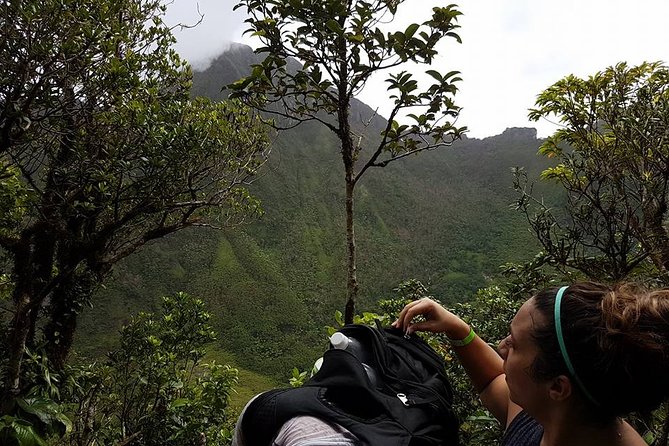Volcano Crater Hiking Tour in St Kitts - The 4X4 ride back and the value of $100