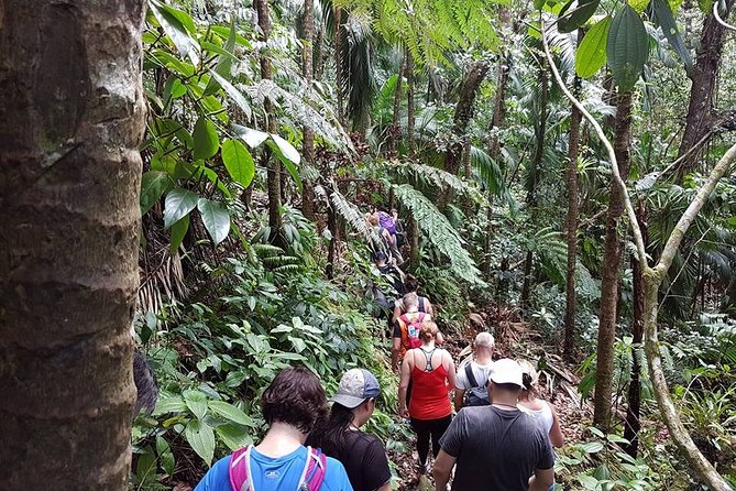 Volcano Crater Hiking Tour in St Kitts - What to pack for Mount Liamuiga