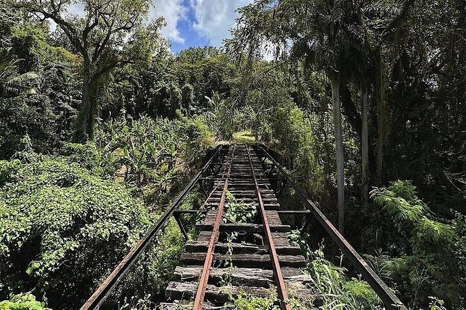 Wingfield Rainforest Adventure Hike and Caribelle Batik stop - The small-group issue you should understand