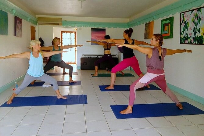 Yoga and Meditation, Group or Private Sessions in Nevis - Who Will Get the Most From This Experience
