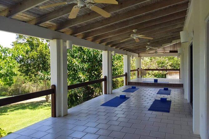 Yoga and Meditation, Group or Private Sessions in Nevis - What the 90-Minute Session Feels Like